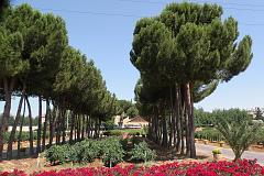 
Bekaa Valley - Vines Welcome You To Caves De Ksara for some delicious Lebanese wine tasting
